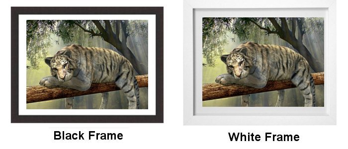 Select Your Frame Select Your Frame